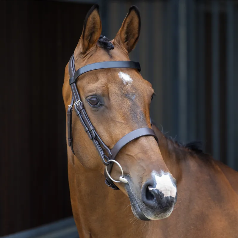 Shires Velociti Lusso Hunter Cavesson Bridle - Havana
